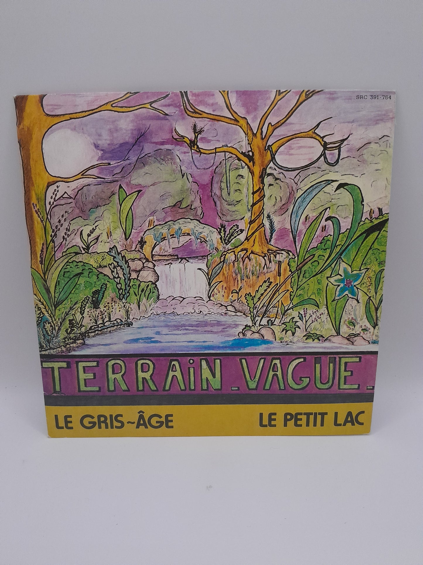 Vinyle 45 Tours : Terrain Vague