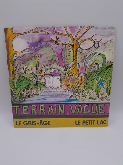 Vinyle 45 Tours : Terrain Vague