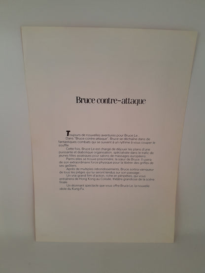 Affiche / Vidéo Club: Bruce Contre-Attaque 29 x 20.5
