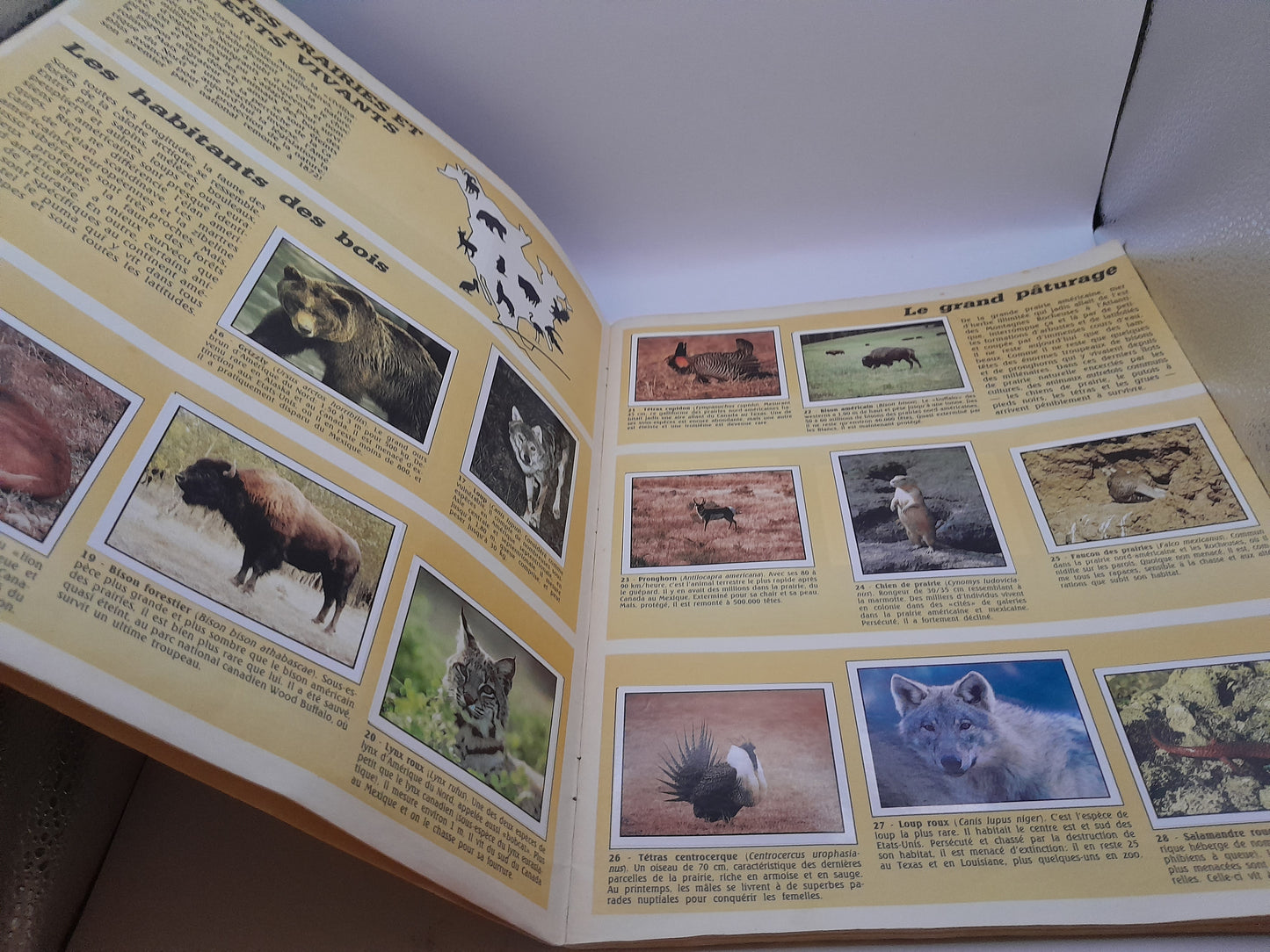 Album Panini WWF Animaux à Sauver manque 30 images