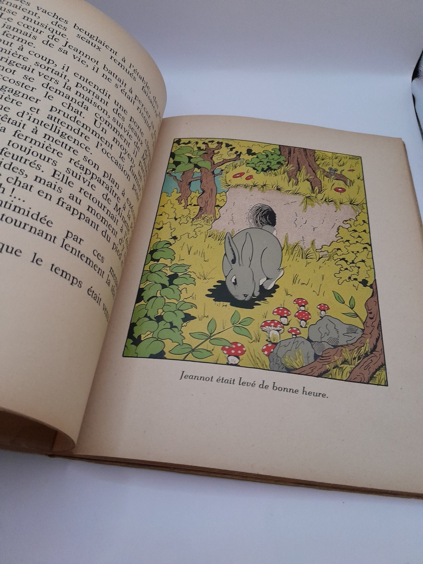 Livre ancien "Le Complot des Lapins"Maurice Tillieux