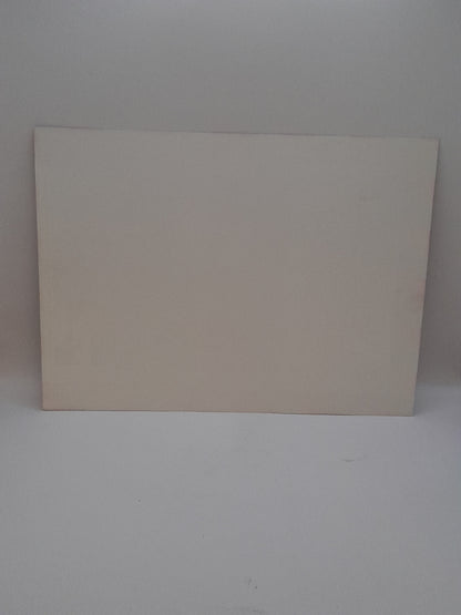 Jaquette VHS  Le Journal d'une Maison de Correction