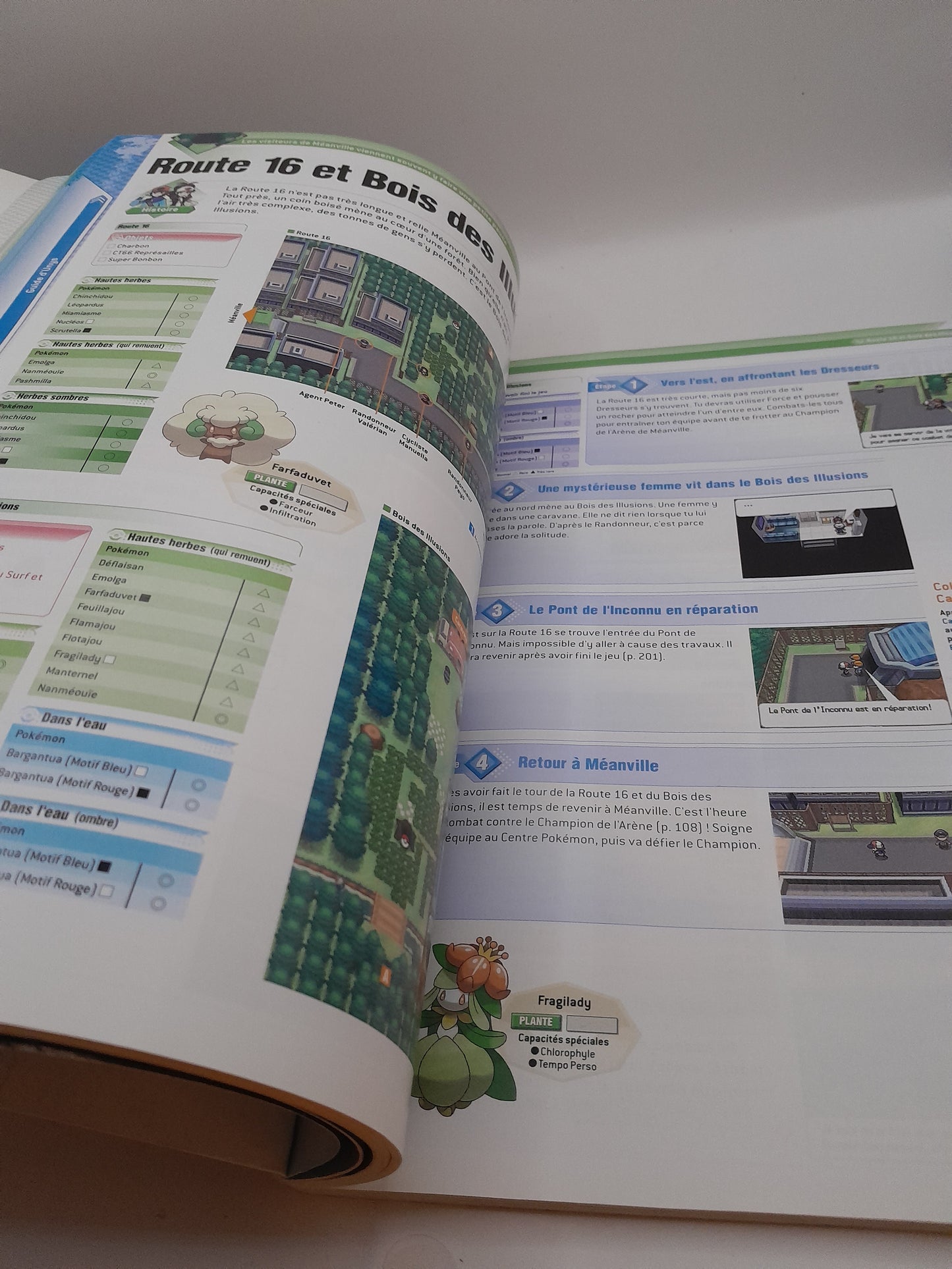 Guide Stratégique Pokémon Version Noire et Blanche - Volume 1
