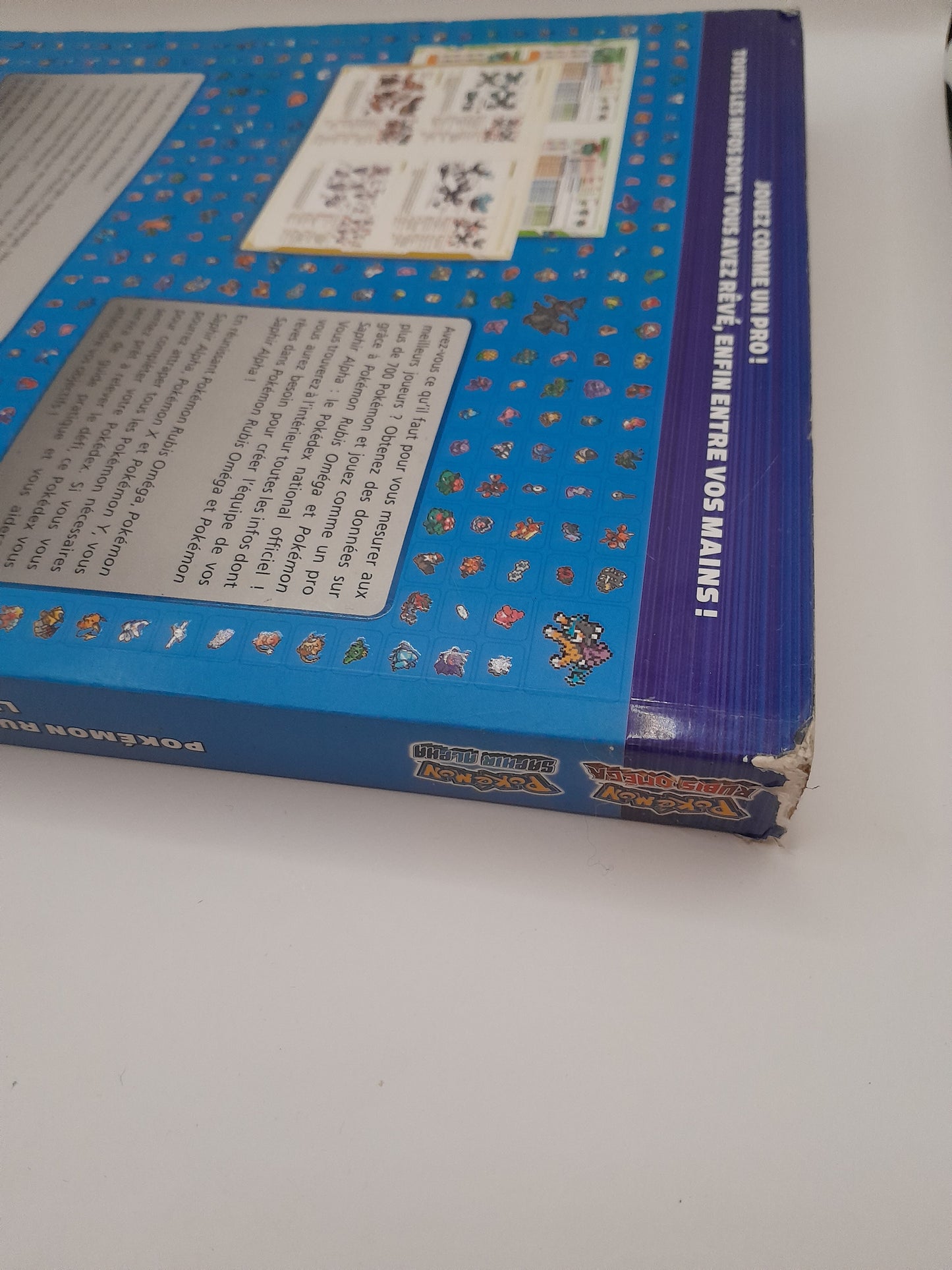 Guide Pokédex Pokémon Rubis Omega et Saphir Alpha
