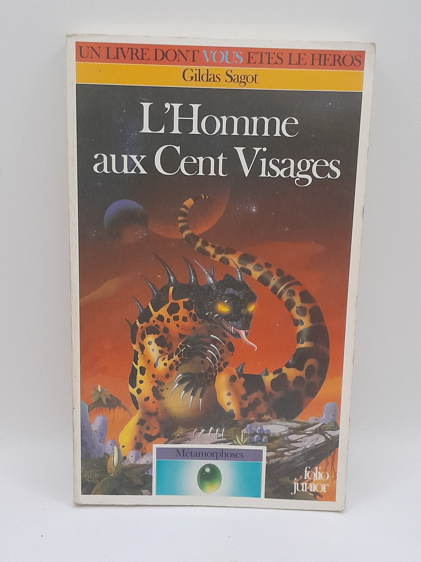 Livre dont vous êtes le héros  "L'Homme au Sans Visage"